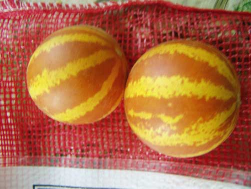 Apple Melon, Queen Anne's Pocket Melon, Vine Pomegranate, Plum Granny, Wild Muskmelon